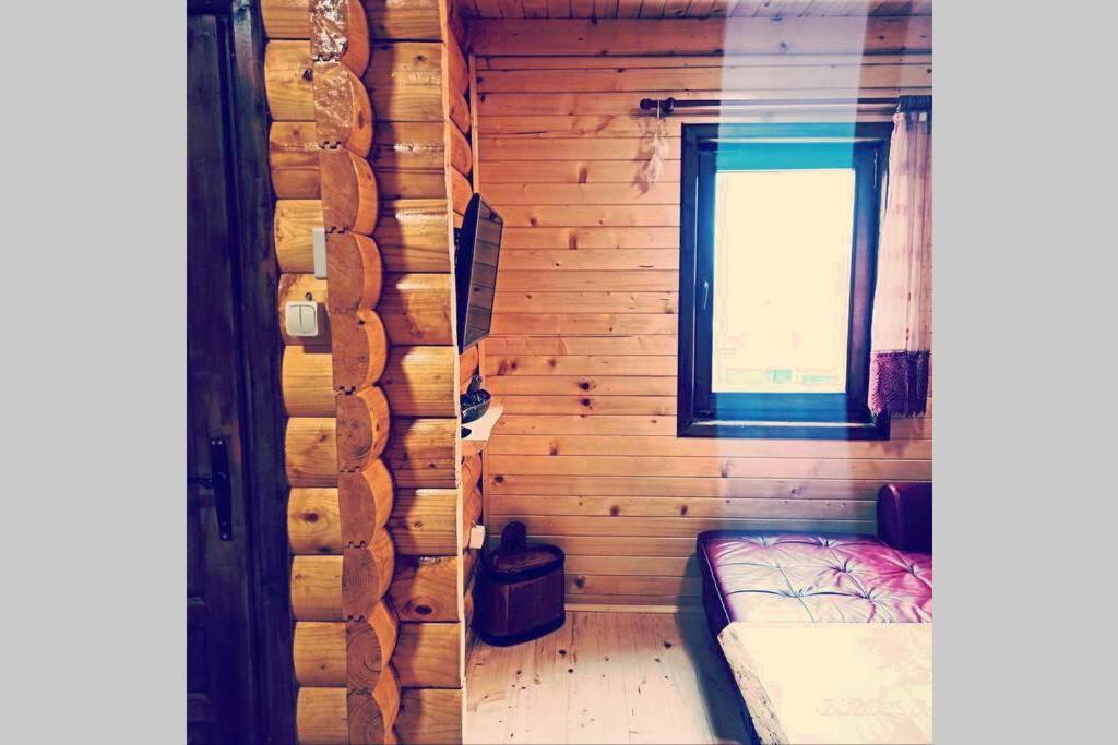 Willa Pinecone Žabljak Zewnętrze zdjęcie